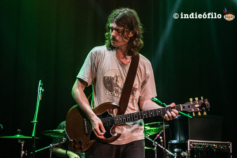 Patrick Turner Brown Horse - Sala Upload Barcelona 2026