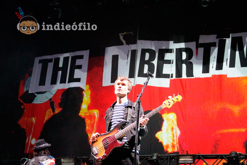The Libertines - Best Kept Secret Festival 2015 (3)